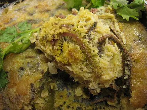 广东人一日三餐美食,广东人的日常美食生吃