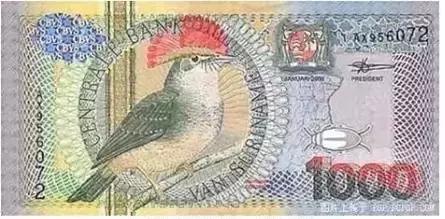 出国旅游出入境需要注意事项,出入境旅游最多需要带多少现金