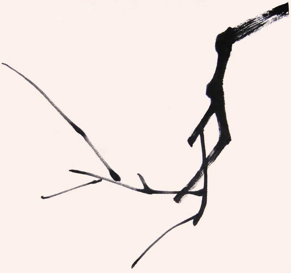 国画教程零基础入门树的画法,国画花卉线稿教程大全