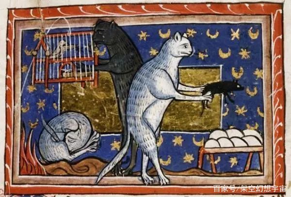 猫咪的迷惑行为历史版,可爱的猫咪黑历史