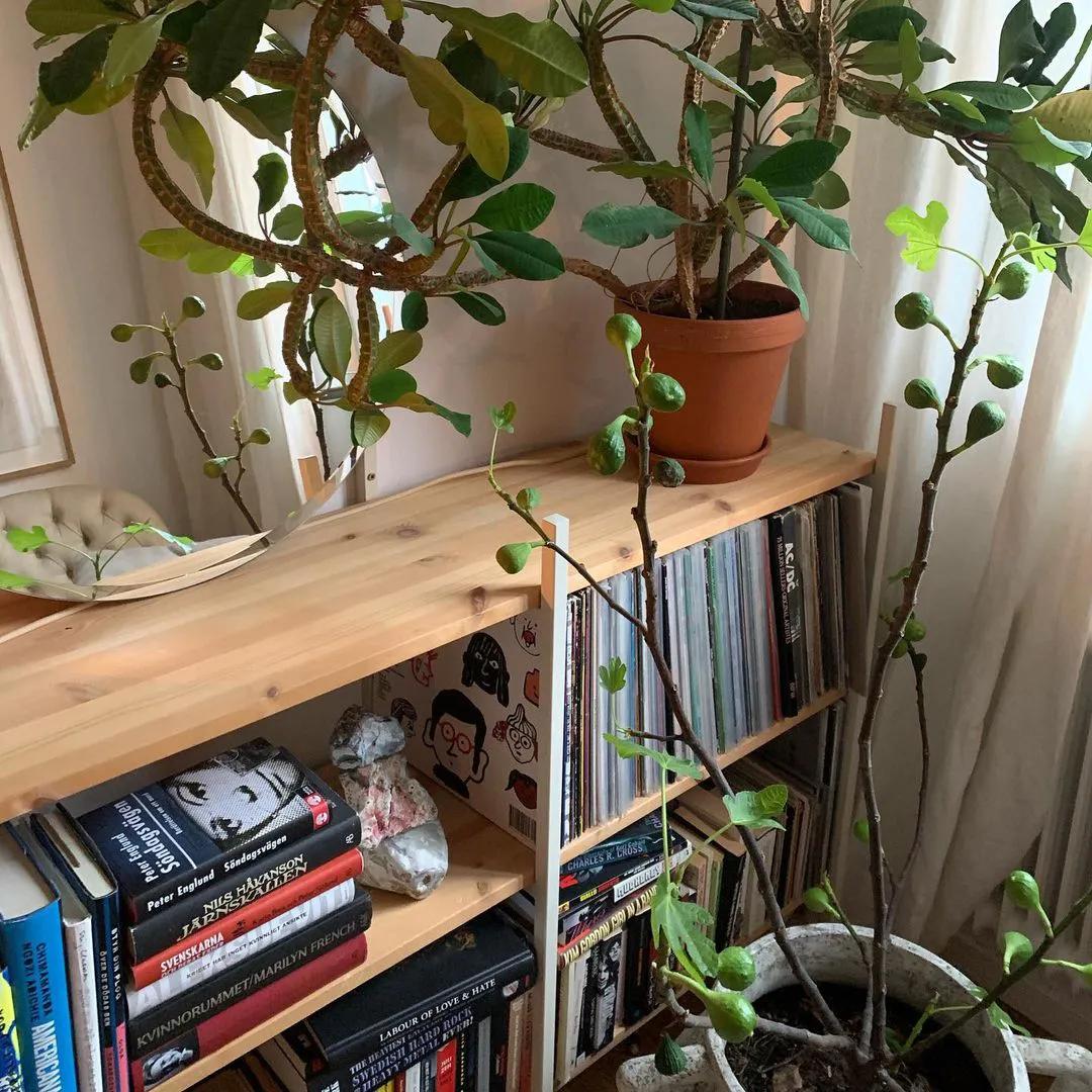 鍘昏В蹇ф潅璐у簵,鍘昏В蹇ф潅璐у簵瑙ｅ咖