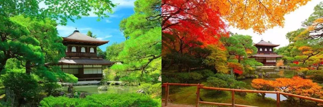 《精简》书评：日本“枯山水”园林为何阐释“不破不立”的道理？