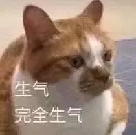 结婚前！这10个要点，男女最好知道一些！