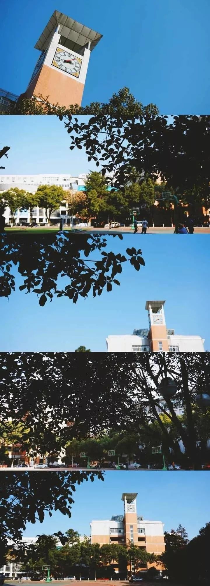 武汉32所重点小学大pk,武汉市十大美丽中学