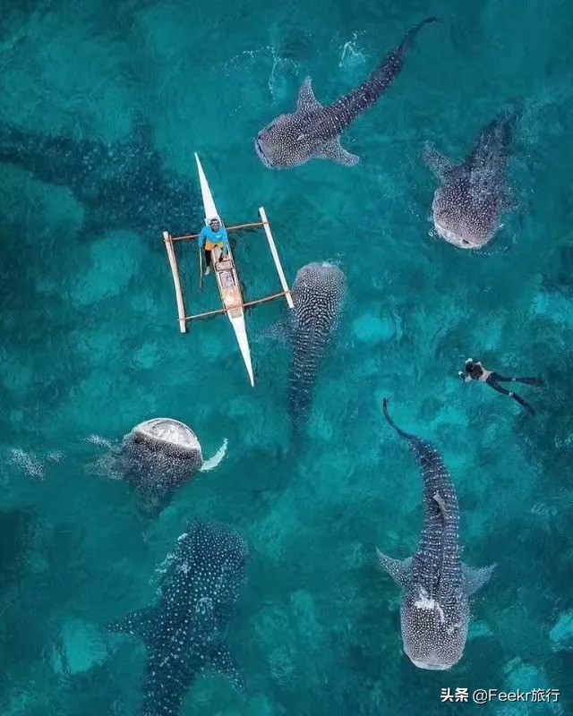 最不想分享的小众海岛,小众海岛旅行