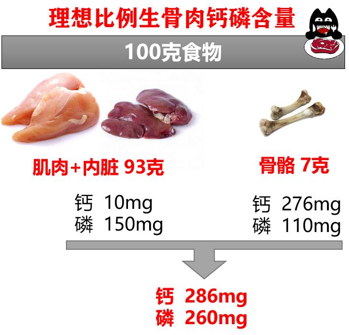 猫咪为什么不能吃骨头,猫为什么要让猫咪吃骨头