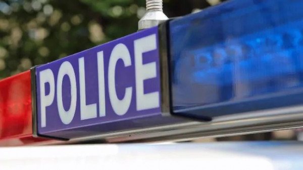 澳洲员工为还赌债狂偷500罐奶粉！竟是卖给中国代购，总价达7.2万