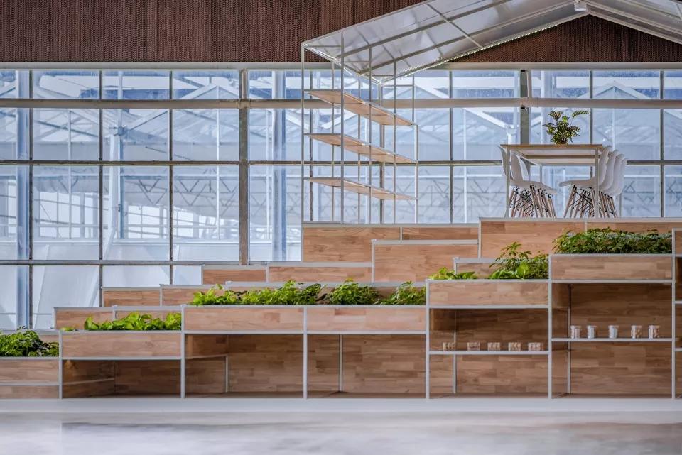 中国最美的乡村振兴村,乡村振兴示范点项目实施方案