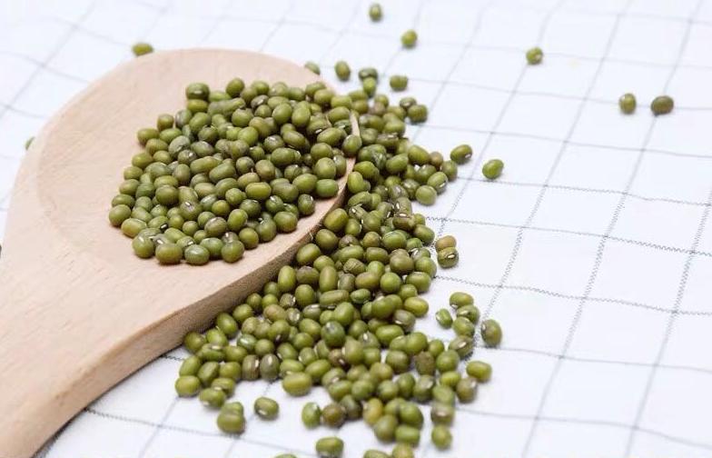 入夏的第一口清凉从一口绿豆糕开始