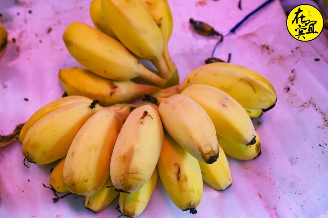 川南小吃之最宜宾燃面,宜宾燃面最好吃的一家