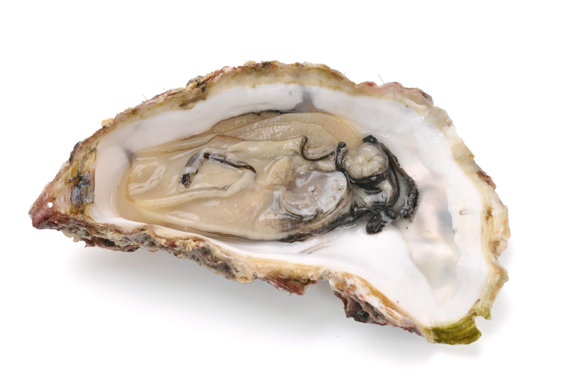 孕晚期吃什么食物最好不胖有营养,孕晚期多吃什么对胎儿好食谱