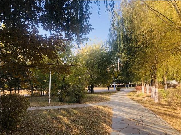 中国东北一流大学,东北第一的大学