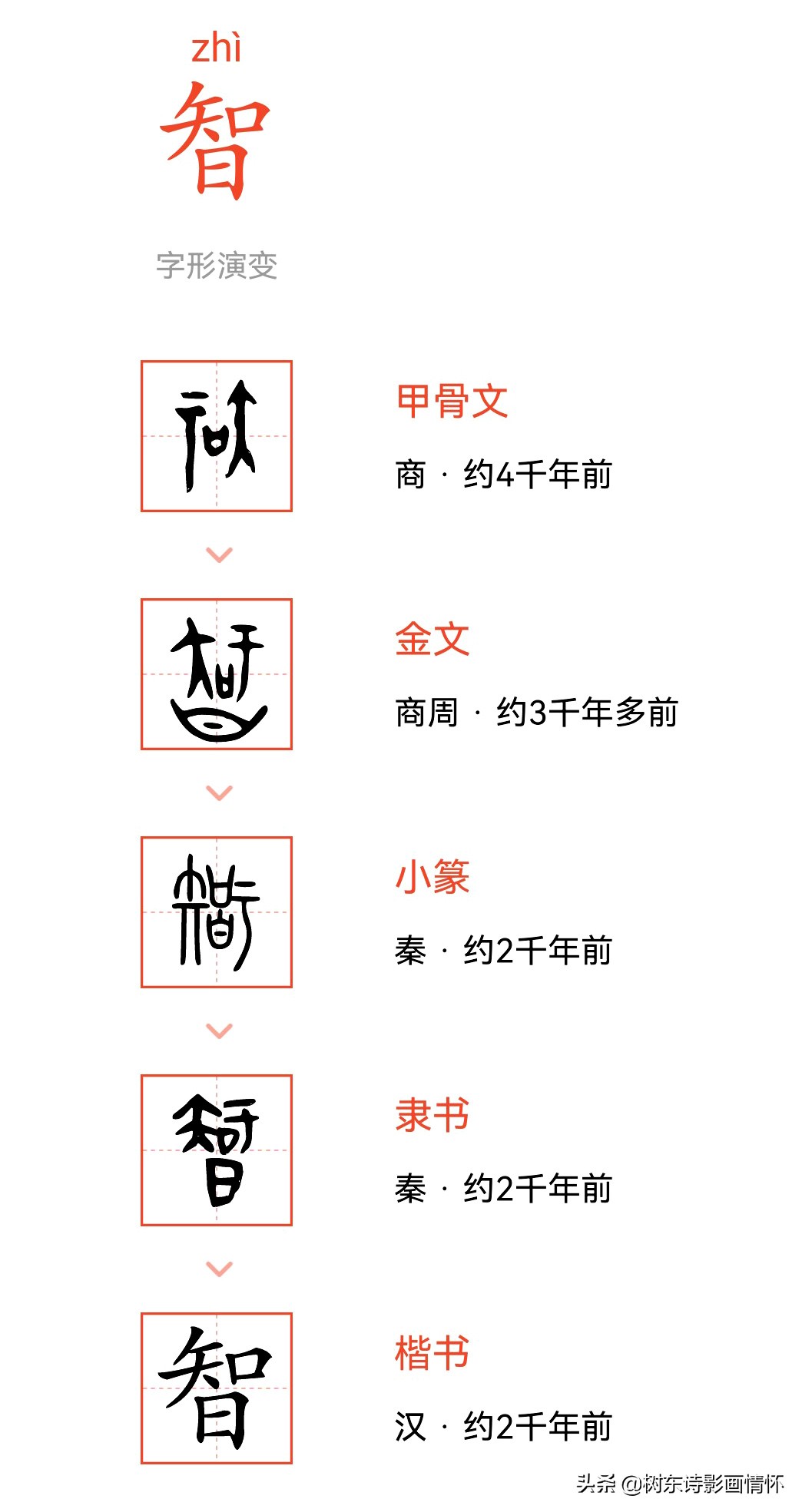 智字的起源,智字经典语录