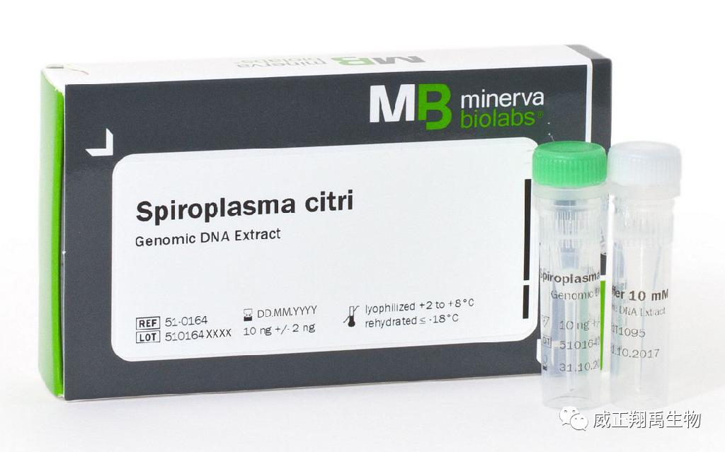 支原体核酸怎么用,支原体核酸