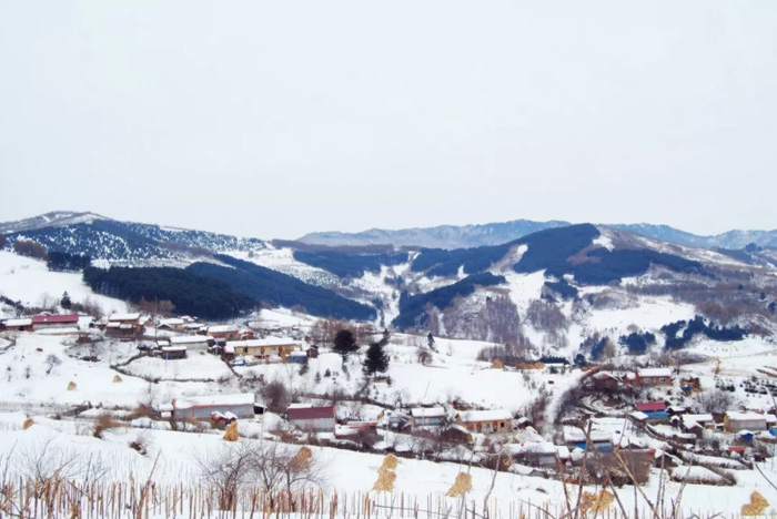 不忽悠！“拔草”吉林这些小村屯才不辜负这个冬天