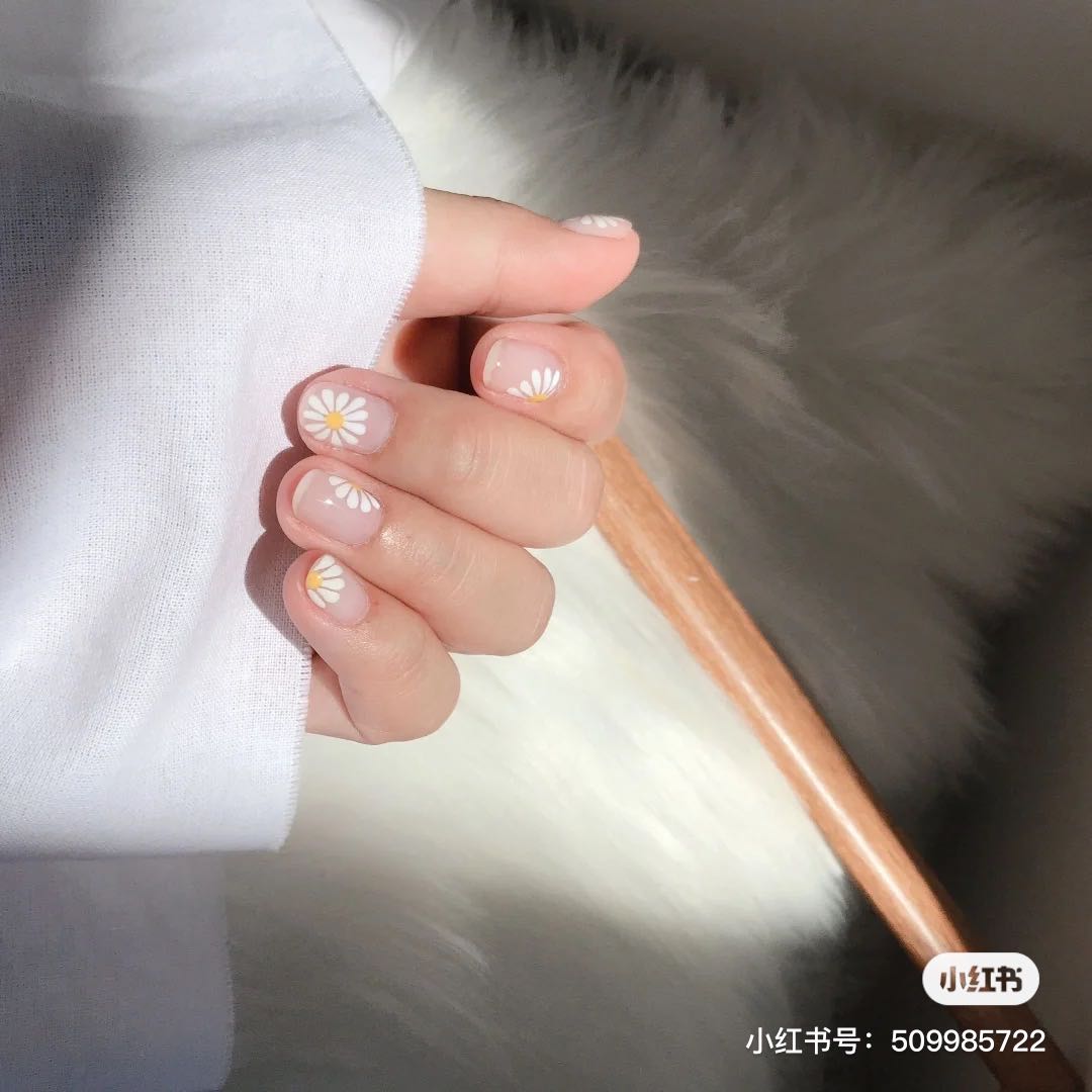 小雏菊带香味,小雏菊花果香