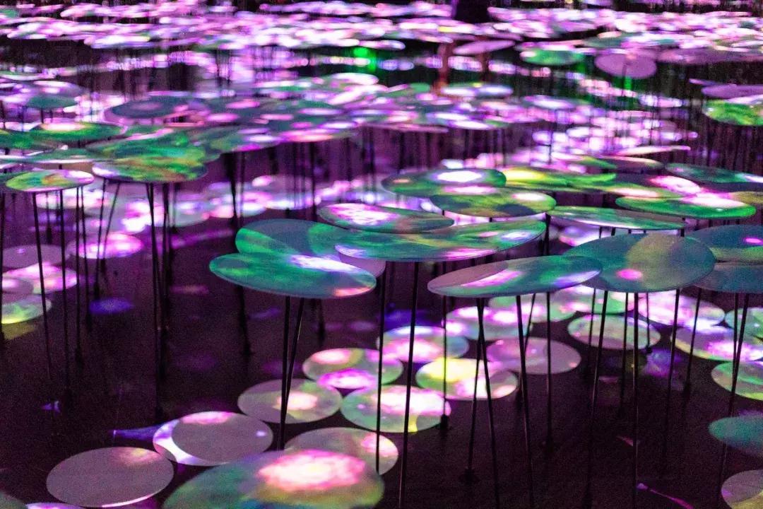 广州好玩景点蹦床乐园排名,广州最好玩的蹦床公园琶洲