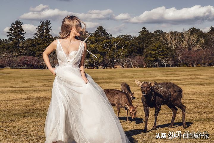 日本旅游感受日本的文化,日本旅游体验感