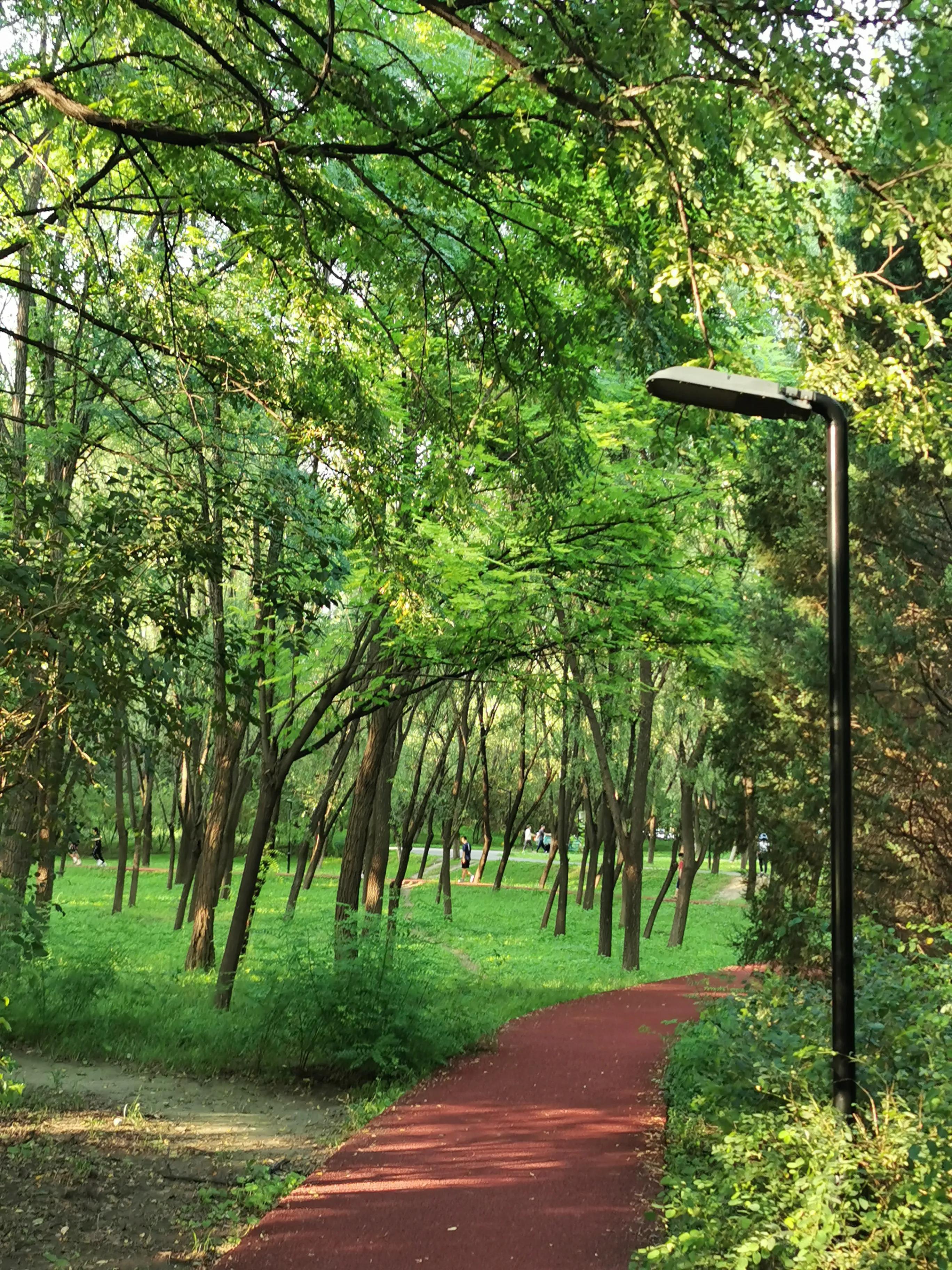 奥森南园里的小动物园,奥森公园南园