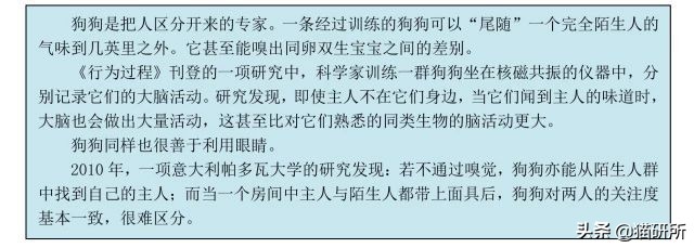 猫咪的记忆是多长时间,猫咪的记忆是永远的吗