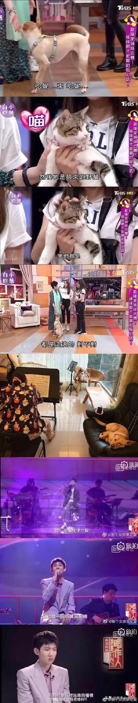 王源暗恋欧阳娜娜，追爱到国外？那他和杨超越的是怎么回事？