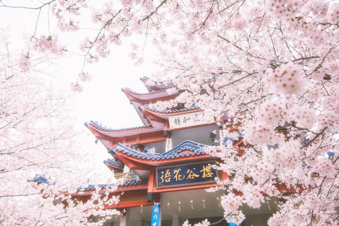 唐诗宋词春天的诗词,宋词里的春天十种绝美十种心动