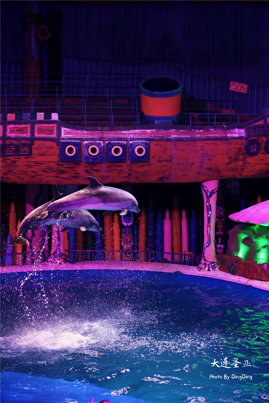北方明珠活力四射的浪漫之都大连，国内最具特色的海洋世界圣亚