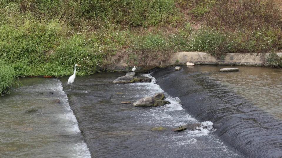 深圳适合小朋友好玩的地方推荐,深圳十个值得带孩子玩的地方