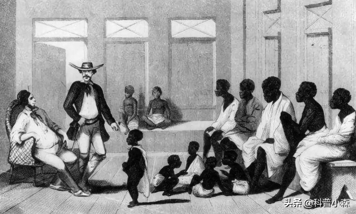 巴西是南美洲唯一的发达国家吗,巴西是南美洲的国家吗