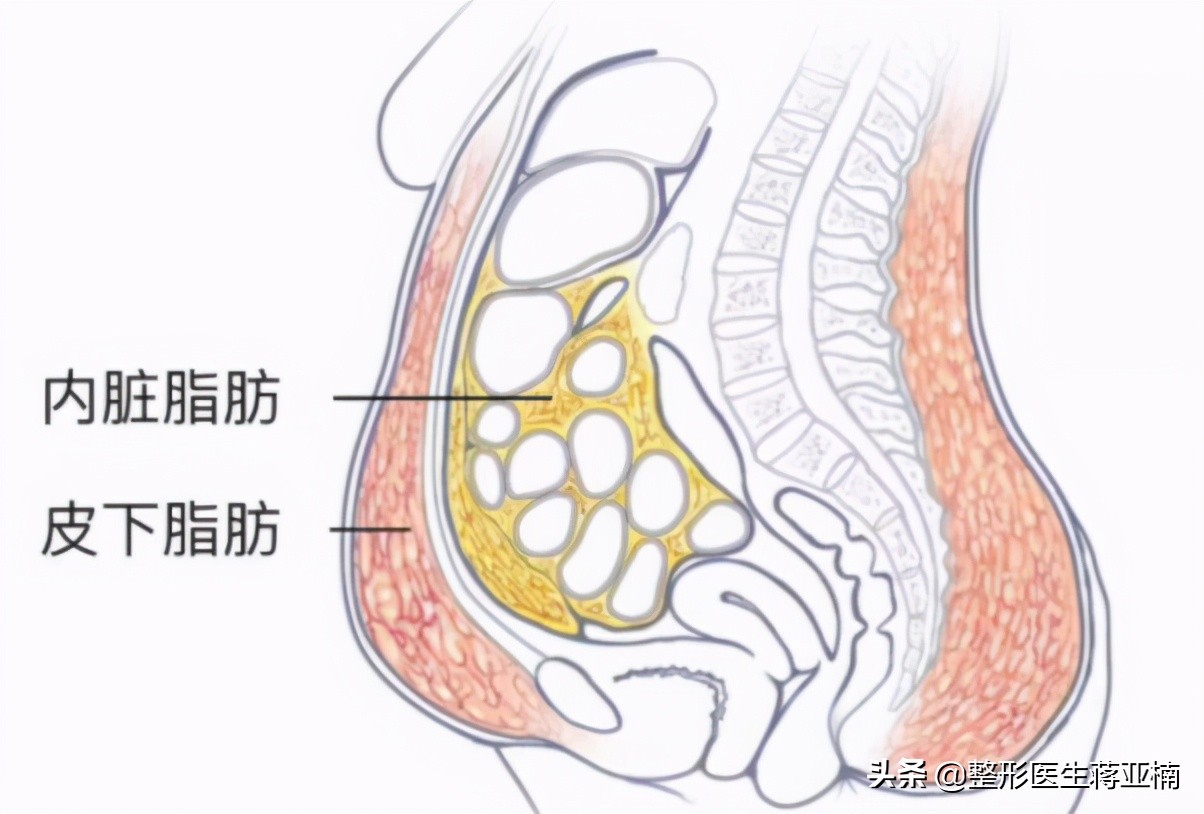 一次性说清,一次性说清一维到十维