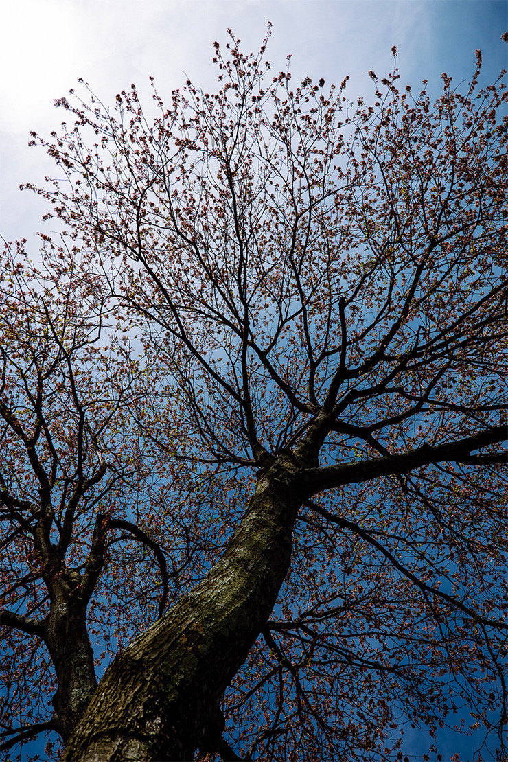 松下lumixs1h一分钟器材速览,松下lumixs1全画幅无反相机