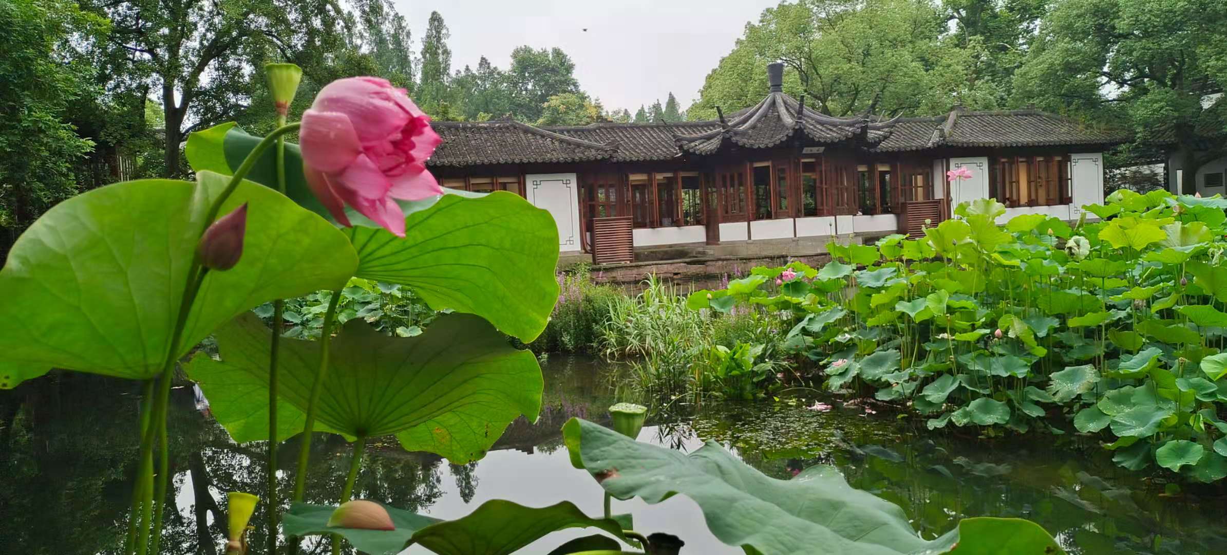 西湖郭庄景区,西湖区郭庄