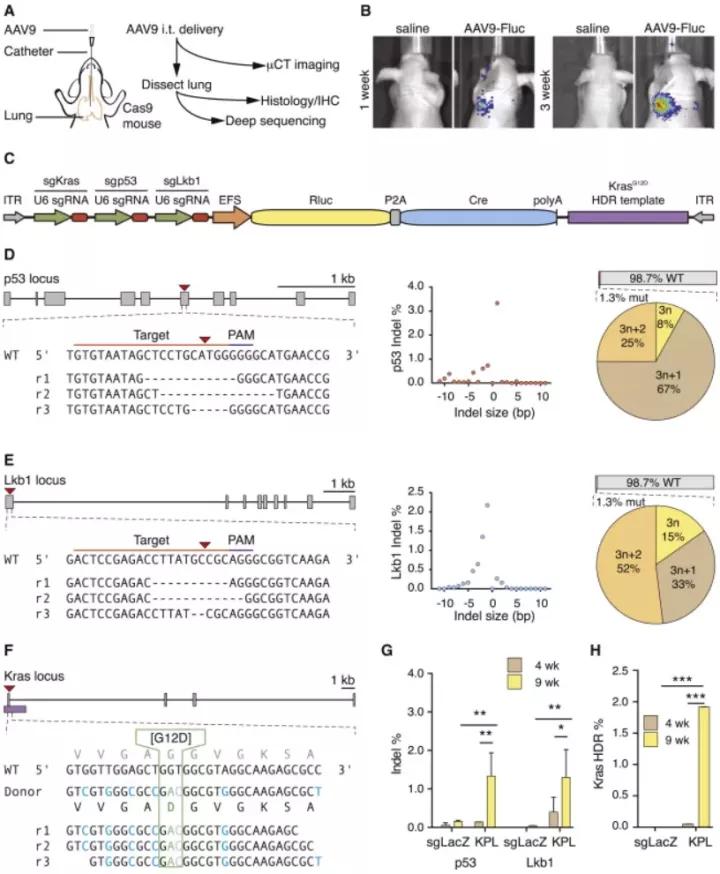 实验总是做不好怎么办,实验难做怎么办