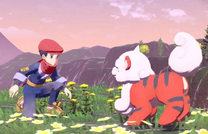 宝可梦阿尔宙斯传说特性,宝可梦阿尔宙斯传说有扩展吗