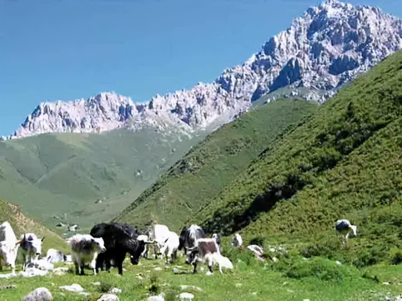 天山天池博格达峰马牙山,博格达峰马牙山