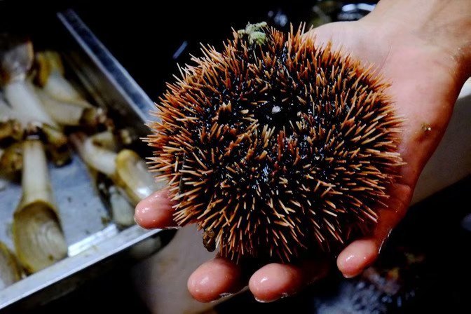 三亚自由行旅游攻略超详细哦,三亚旅游自由行全攻略