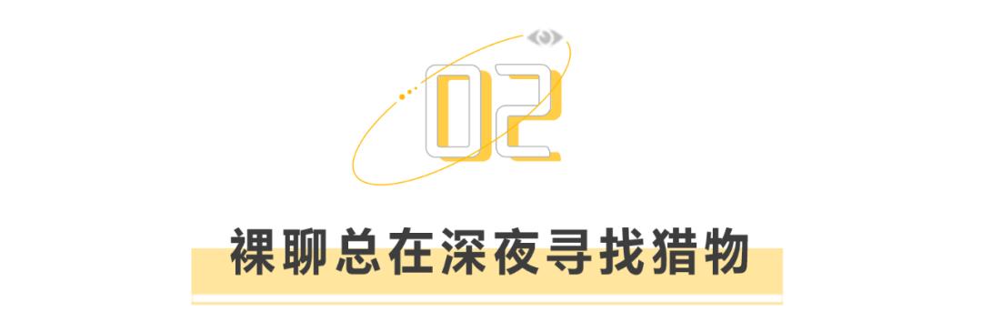 仙人一跳，*男猛**尖叫