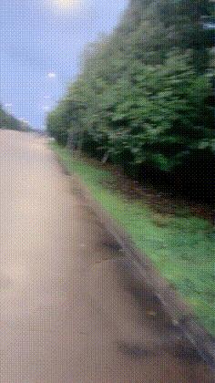 搞笑gif趣图小伙子估计你要单身了,gif爆笑趣图大爷永远是大爷