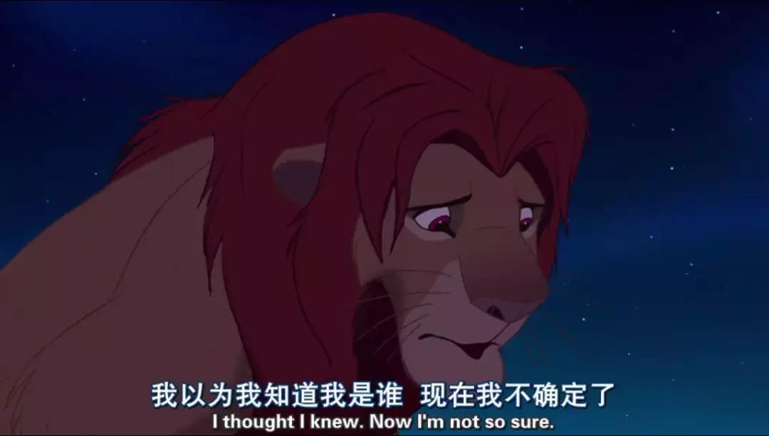 真实版的狮子王,现实版狮子王比想象的更残酷