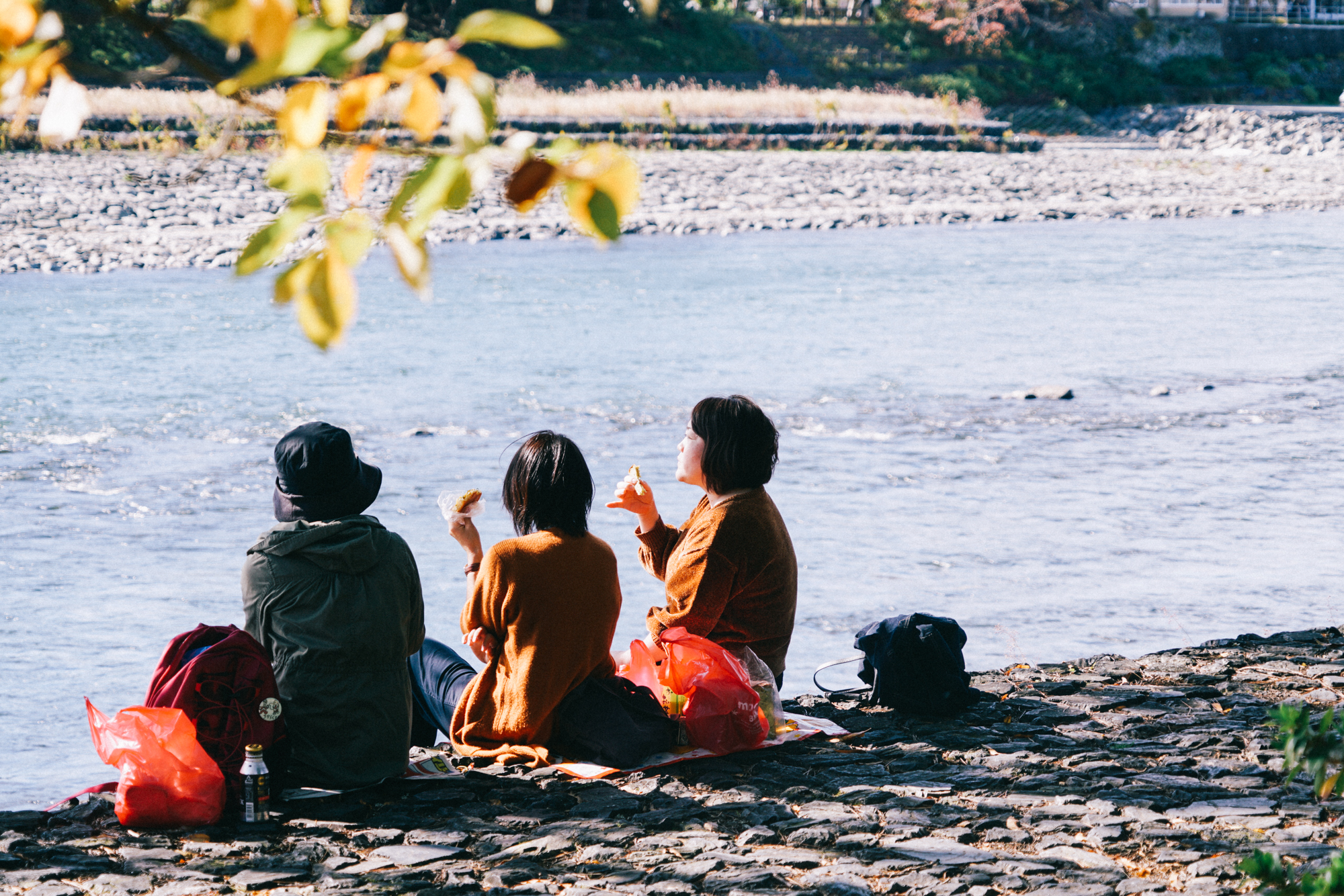 日本京都南禅寺国宝,日本旅游国宝