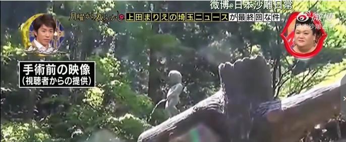 岛国的厕所有多奇葩?