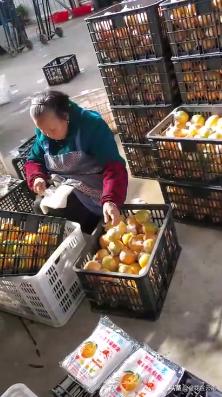 临近年关吃东西容易上火，就让这款小甜橙拯救一下