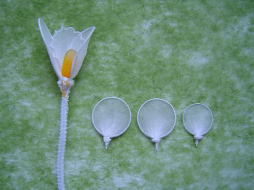 幼儿园布置手工作业家长苦不堪言,家长要求老师为孩子额外布置作业