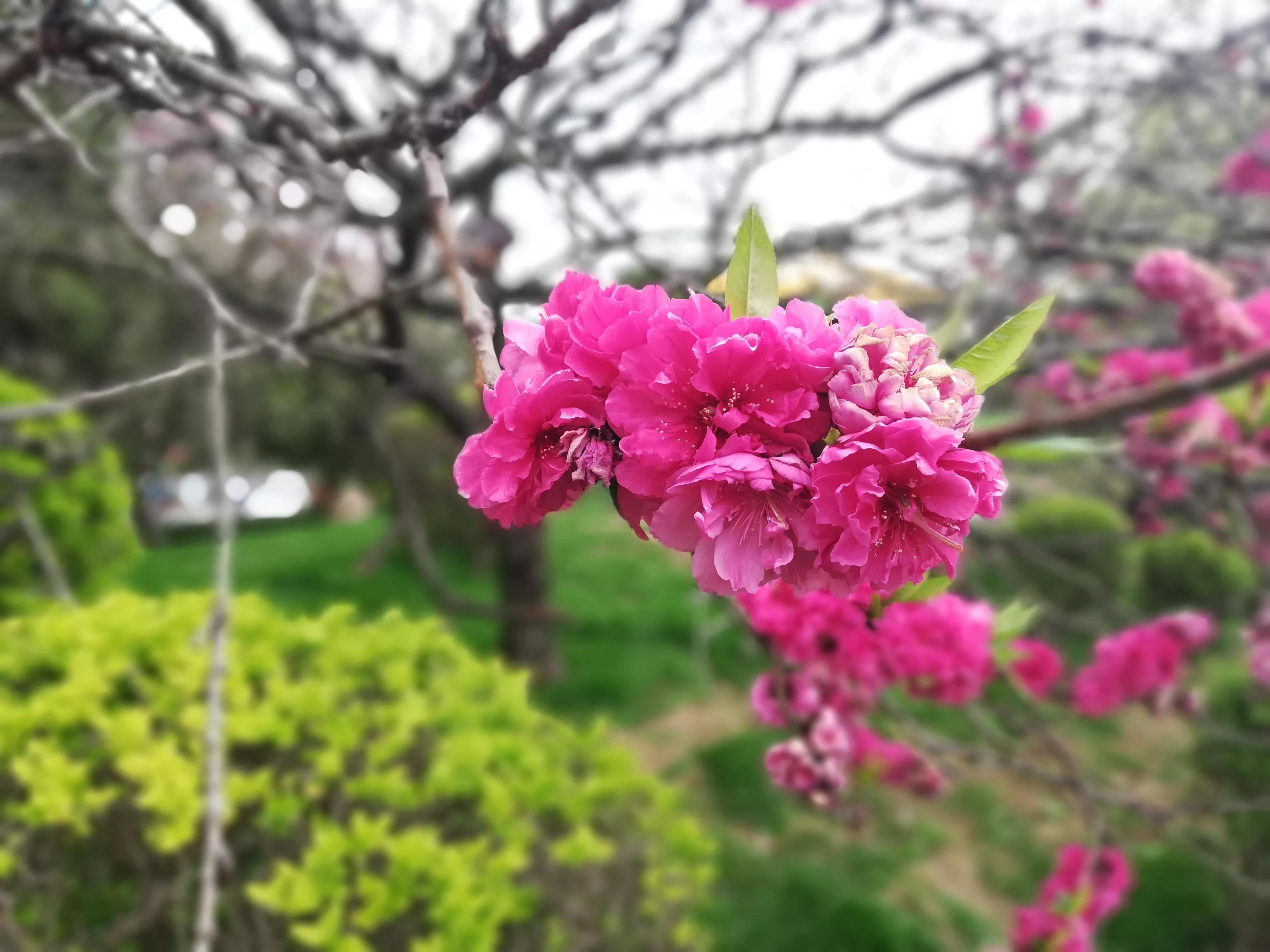 美女稽查官，夜闯“迷你”酒吧，与老板私下做生意