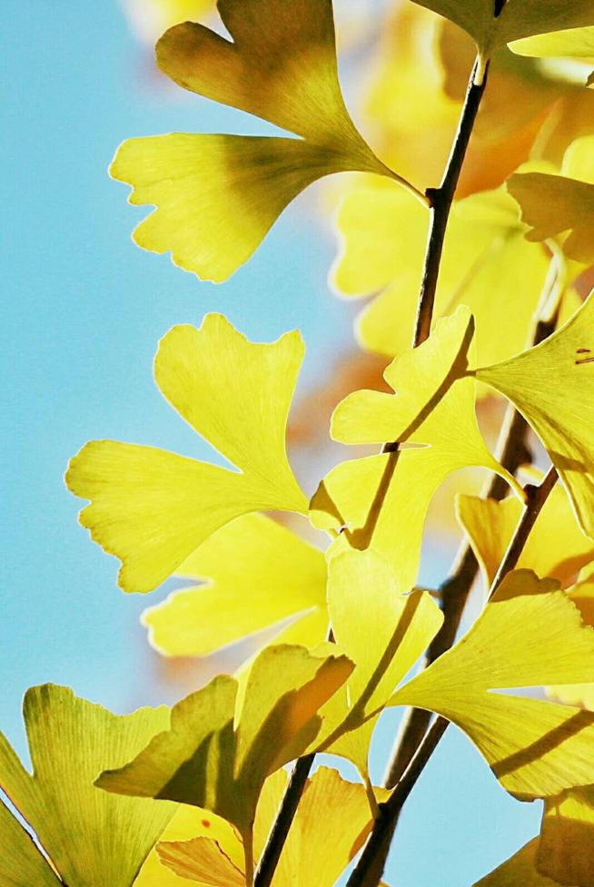 玩转双11青橙,微单相机购买攻略佳能全幅