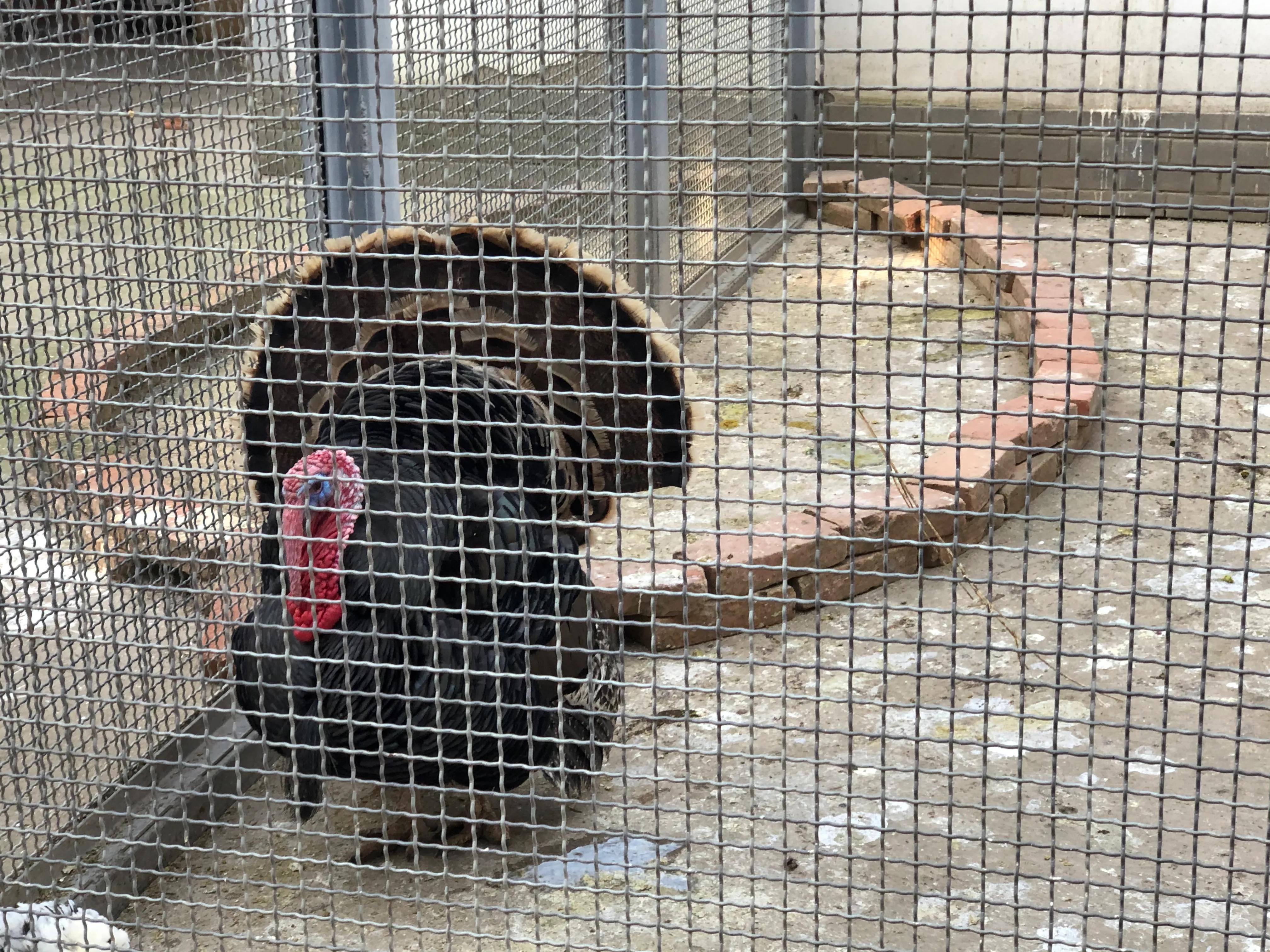 平顶山河滨公园旅游攻略,平顶山森林公园游记