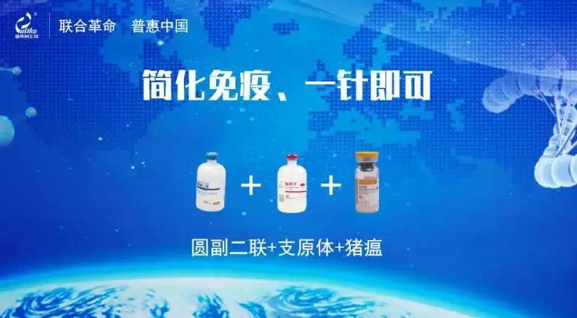 免疫联合治疗的优缺点,一针多防的猪用疫苗可靠吗