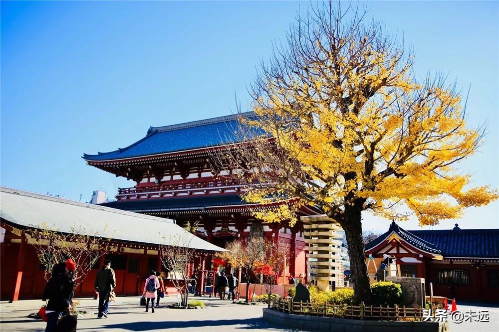 在日本坐新干线怎么坐划算,东京站到镰仓一日游最佳攻略