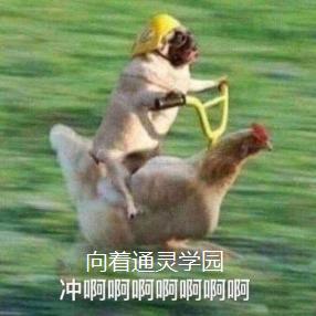 通灵学院新卡大全,通灵学院炉石登录奖励