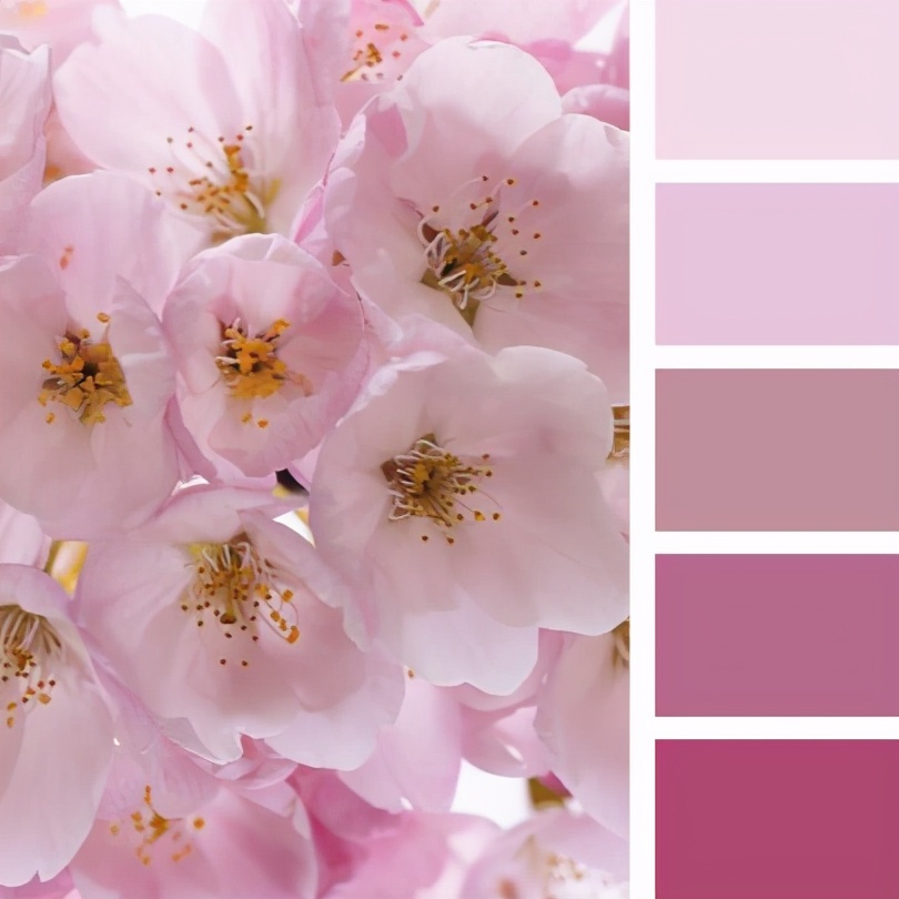 最佳紫色配色,柔和颜色搭配表及效果图片